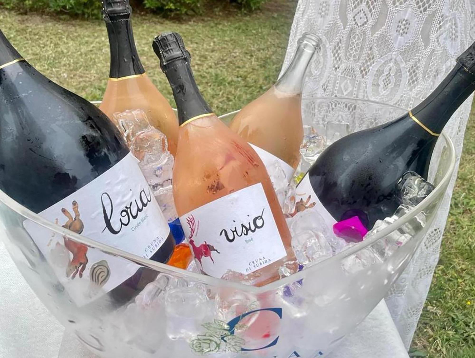 Cruna Di Subida Wine Country House Cormòns Εξωτερικό φωτογραφία
